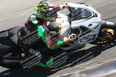 media/Aug-04-2024-TrackDaz (Sun) [[e1ff0814b6]]/Group A/1pm (Grapevine)/